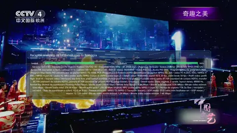 CCTV 4E