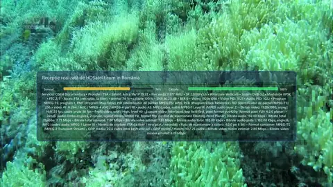 CGTN Documentary