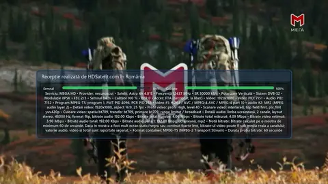 MEGA HD