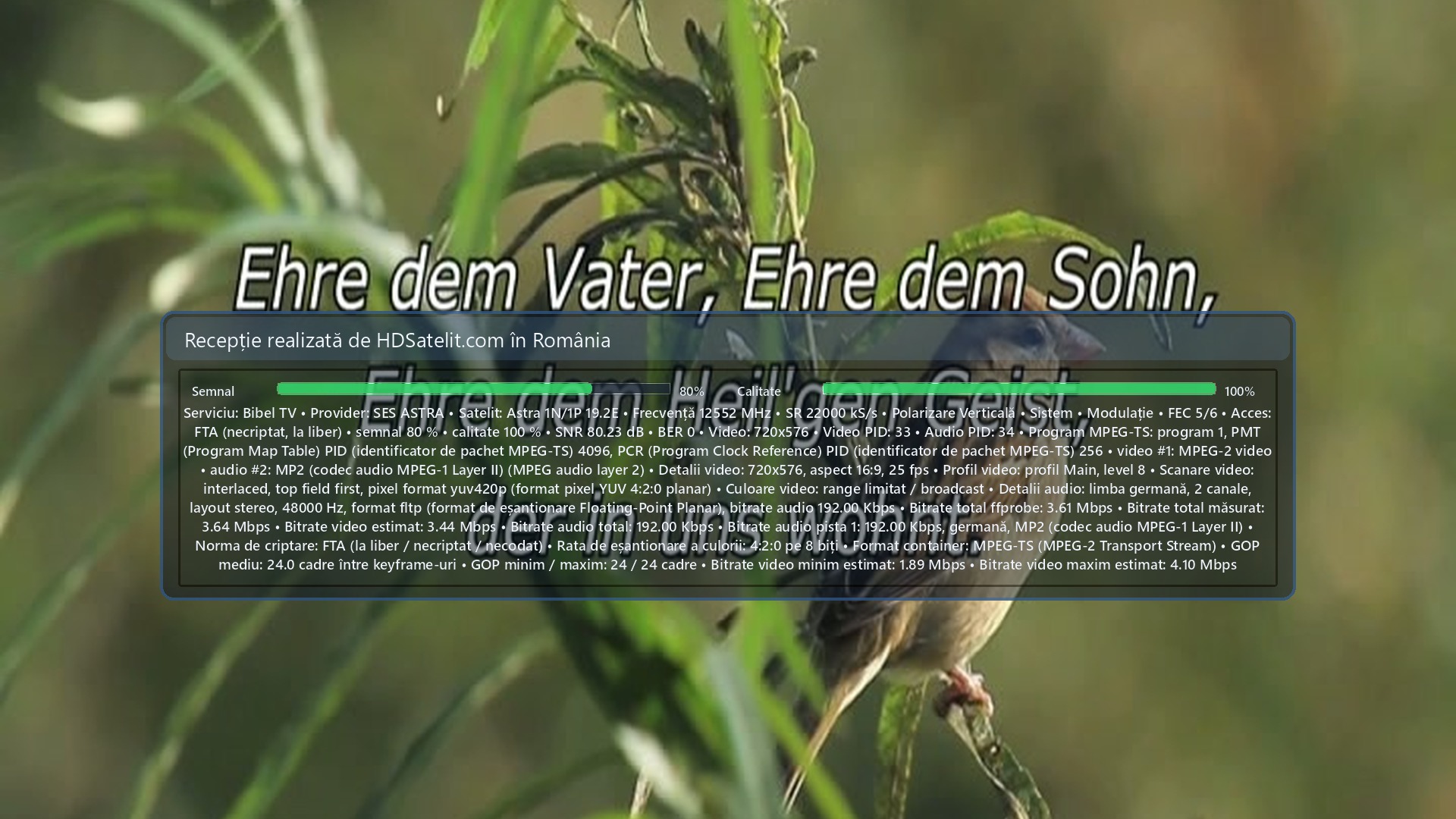 Képernyőkép a HD Satelit vevőről: Bibel TV (1)